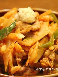 生姜トッピングで豚キムチを美味しく!-レシピのメイン写真