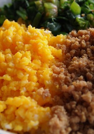 三色丼-レシピのメイン写真