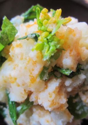 ☆とびっこと菜の花の春サラダ☆-レシピのメイン写真