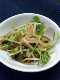 みょうがと豆苗のナムル-レシピのメイン写真