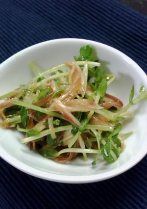 みょうがと豆苗のナムル-レシピのメイン写真