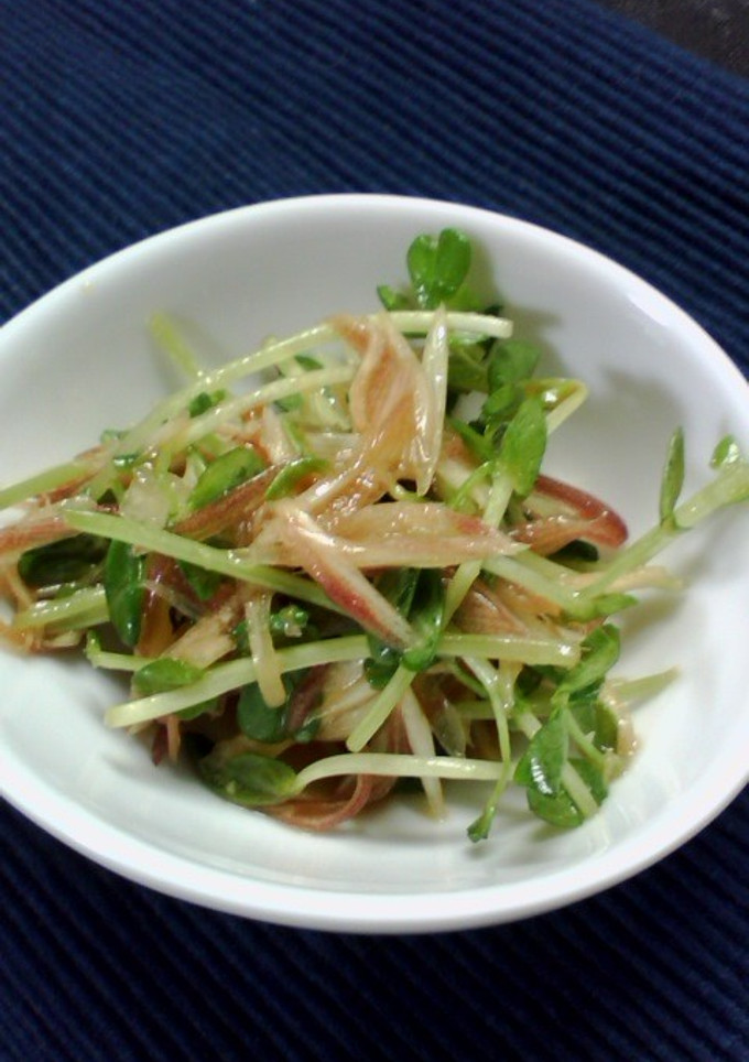 みょうがと豆苗のナムル-レシピのメイン写真
