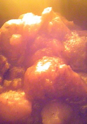 鶏胸肉と椎茸の和風カレー-レシピのメイン写真