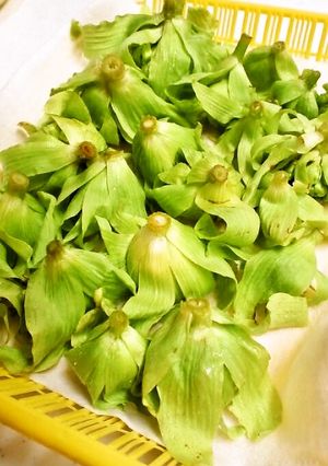 春です☆蕗を綺麗に☆おいしく♪-レシピのメイン写真