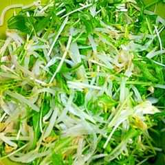 รูปของ もやしと水菜のサラダ