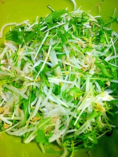 もやしと水菜のサラダ-レシピのメイン写真
