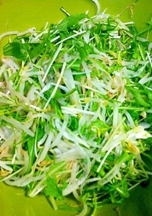 もやしと水菜のサラダ-レシピのメイン写真