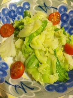 塩麹キャベツサラダ-レシピのメイン写真