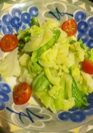 塩麹キャベツサラダ-レシピのメイン写真
