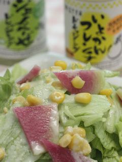 サラダ大根とレタスのサラダ-レシピのメイン写真