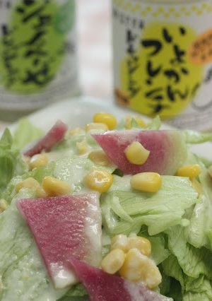 サラダ大根とレタスのサラダ-レシピのメイン写真