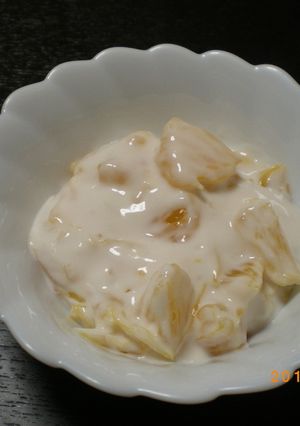 はっさく豆乳グルト-レシピのメイン写真