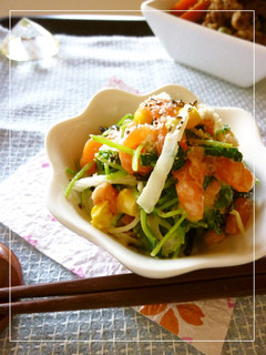 鮭と豆苗の塩昆布マヨ和え-レシピのメイン写真