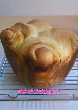 チョコもハムチーズも！HBで欲張りパン♪-レシピのメイン写真