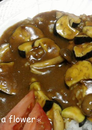 なすびカレー☆☆☆（その2）-レシピのメイン写真