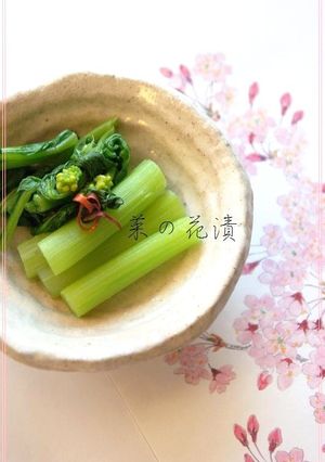 春の味覚♪ 菜の花 漬け-レシピのメイン写真