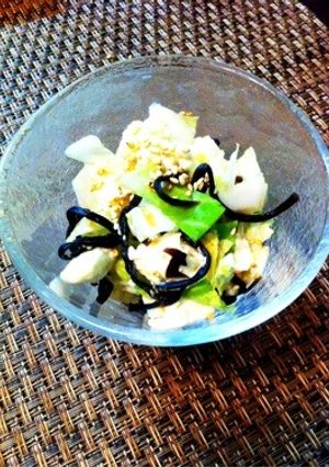 白菜で塩昆布クリームチーズ-レシピのメイン写真