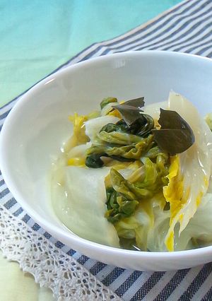 簡単一品★白菜のシンプルローリエ煮-レシピのメイン写真