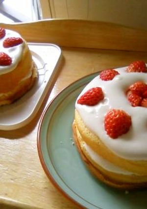 節約1000円以下30分ショートケーキ☆-レシピのメイン写真