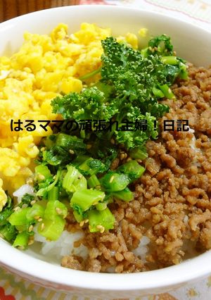 はるママ家の三色丼♪-レシピのメイン写真