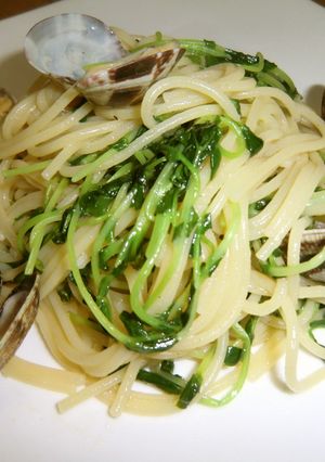 あさりと豆苗のパスタ～★★-レシピのメイン写真