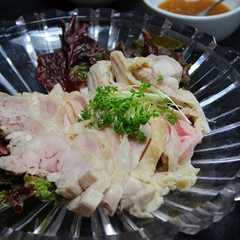 茹で鶏の塩麹入りバンバンジー-レシピのメイン写真