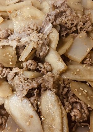 我んとこの、牛ごぼう煮-レシピのメイン写真