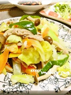 塩麹で簡単旨い!野菜炒め☆-レシピのメイン写真