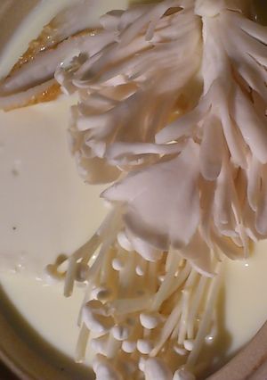 まったり♪美味しい『豆乳湯豆腐』-レシピのメイン写真