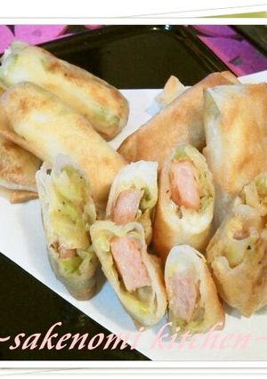 たっぷりキャベツとウインナーのチー春巻き-レシピのメイン写真