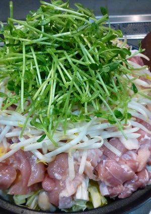 塩麹鶏と春キャベツの蒸し鍋-レシピのメイン写真