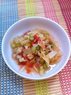 ダイエット犬!食べる野菜スープ☆-レシピのメイン写真