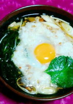 一番出汁で汁まで完食♪とろろ月見麺-レシピのメイン写真