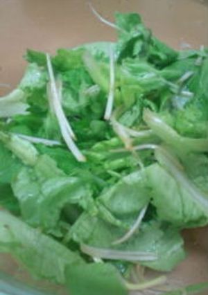 簡単すぎてごめんなサラダ(^o^)-レシピのメイン写真