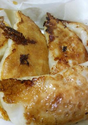 節約★おから餃子-レシピのメイン写真