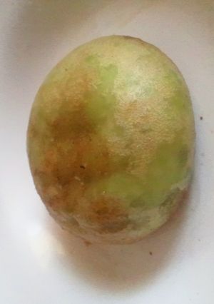 揚げ饅頭-レシピのメイン写真
