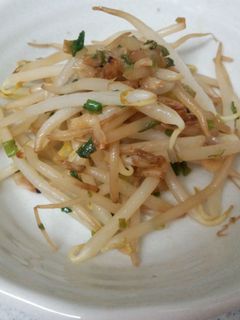 もやしと干しエビの炒めもの-レシピのメイン写真