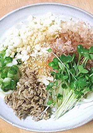 生利節カツオフレークうどん-レシピのメイン写真