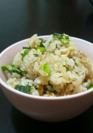 からし菜の漬物で簡単混ぜご飯-レシピのメイン写真