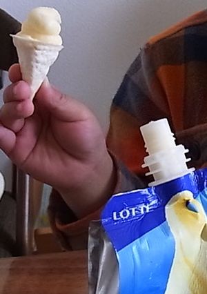 子供店長！　アイスクリーム屋さんごっこ!-レシピのメイン写真
