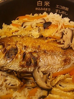 炊飯ジャーで鯛めし-レシピのメイン写真