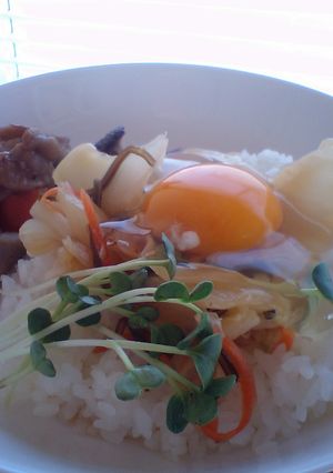 卵かけご飯にピッタリ即席白菜-レシピのメイン写真