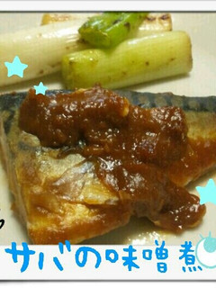 サバの味噌煮-レシピのメイン写真