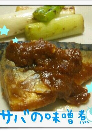 サバの味噌煮-レシピのメイン写真