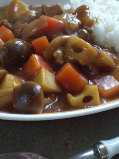 ちょっと和風なカレーライス☆-レシピのメイン写真