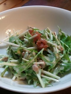 納豆と水菜の梅マヨサラダ-レシピのメイン写真