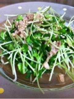 かいわれサラダ-レシピのメイン写真