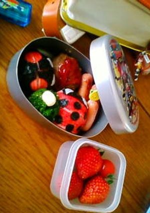 もうすぐ春だよ♪てんとう虫お弁当-レシピのメイン写真