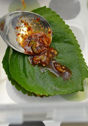 エゴマの葉の漬物-レシピのメイン写真