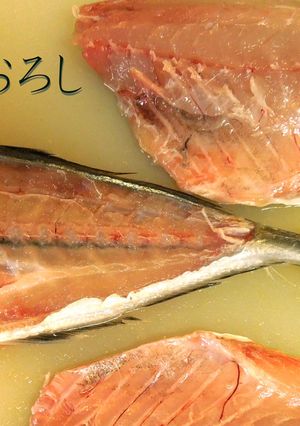 基本の三枚おろし（今回は鯵）-レシピのメイン写真